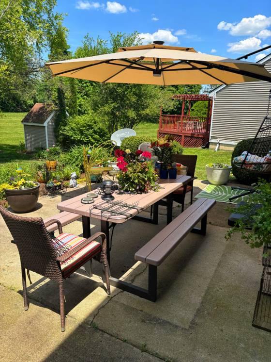558 Thornhill Court, Belleville, MI 48111 photo 3