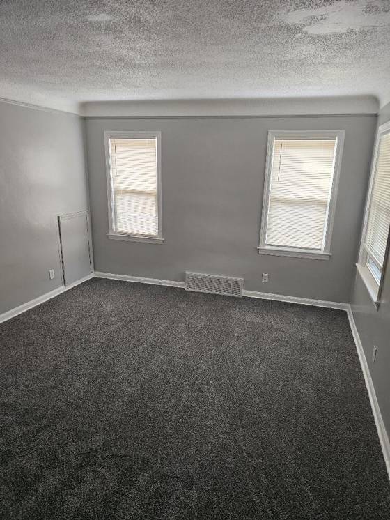 9658 Beaverland, Detroit, MI 48239 photo 4