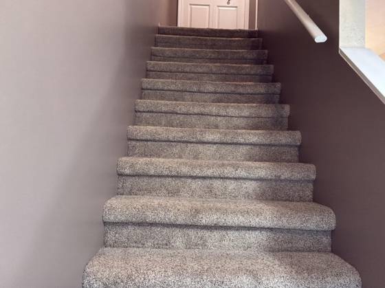 515 Victoria Square, Brighton, MI 48116 photo 5