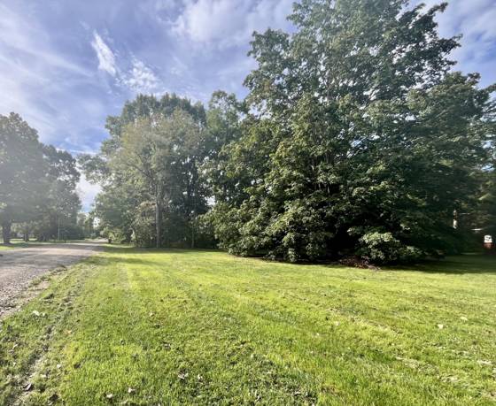 21112 Wilmot Road, Belleville, MI 48111 photo 4