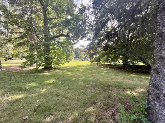 21112 Wilmot Road, Belleville, MI 48111 photo 5