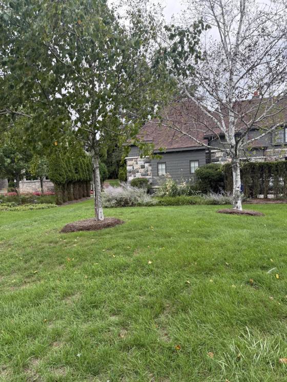 2948 Turtle Pond Court, Bloomfield Hills, MI 48302 photo 5