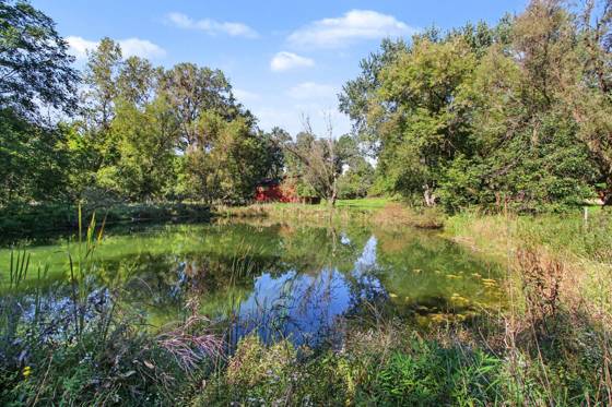 3557 Valentine Road, Whitmore Lake, MI 48189 photo 2