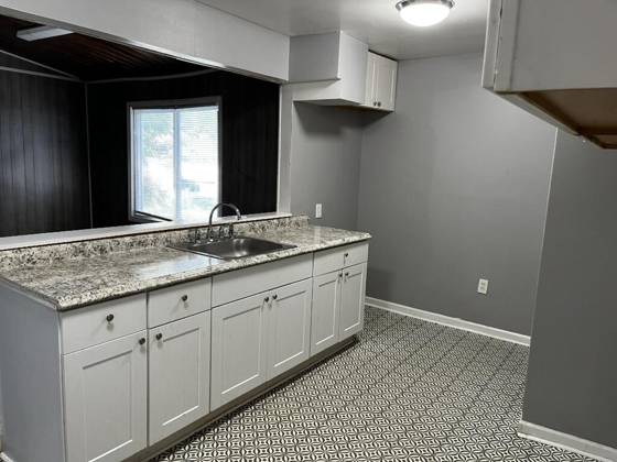 20528 Hamburg Street, Detroit, MI 48205 photo 2