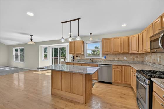 1041 Bicentennial Parkway, Ann Arbor, MI 48108 photo 5
