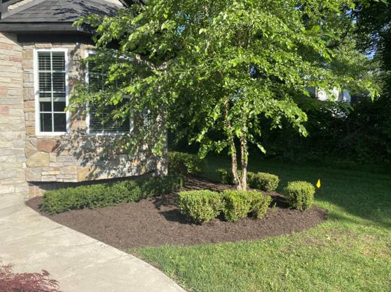 9915 Wayne Road, Livonia, MI 48150 photo 3