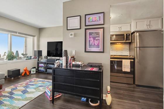 555 E William Street #17G, Ann Arbor, MI 48104 photo 5