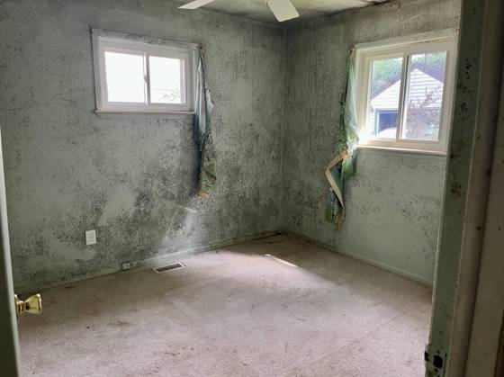 1276 Rambling Road, Ypsilanti, MI 48198 photo 4