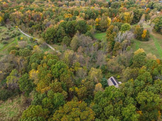15081 Livermore Road, Pinckney, MI 48169 photo 4
