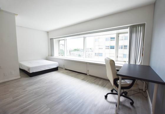 555 E William Street #6k, Ann Arbor, MI 48104 photo 5