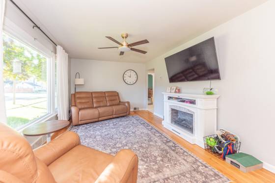 204 Torrey Street, Manchester, MI 48158 photo 4