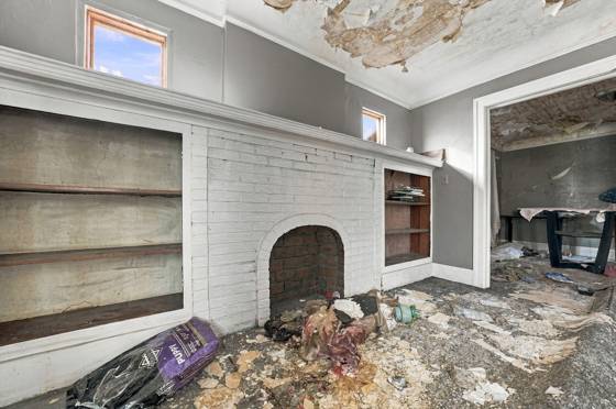 12031 Stoepel Street, Detroit, MI 48204 photo 5