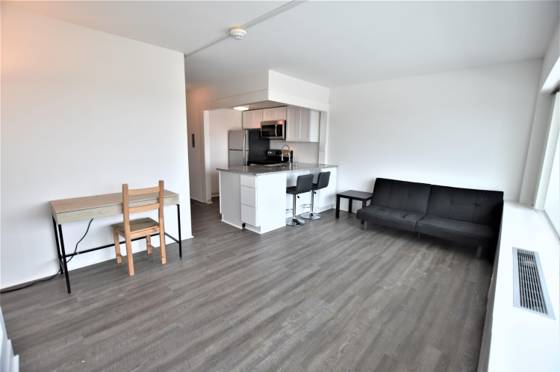 555 E William Street #17H, Ann Arbor, MI 48104 photo 4