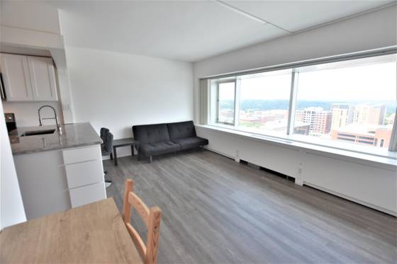 555 E William Street #17H, Ann Arbor, MI 48104 photo 5