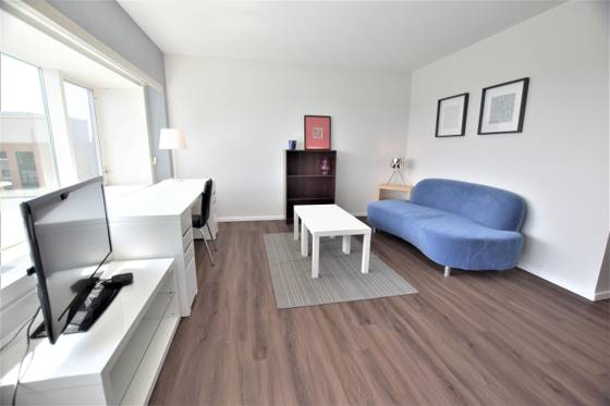 555 E William Street #16K, Ann Arbor, MI 48104 photo 4
