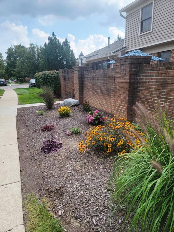 22363 Peachtree, Novi, MI 48375 photo 3