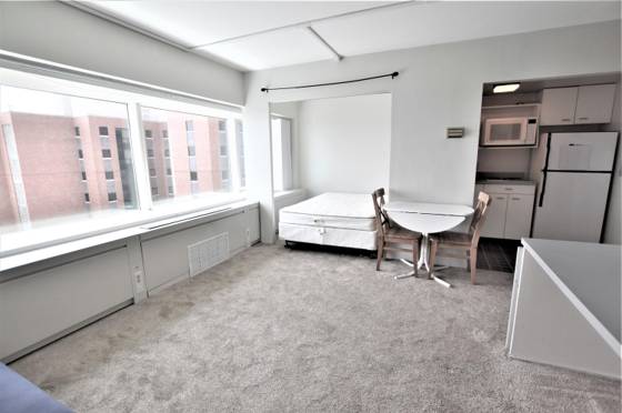 555 E William Street #14B, Ann Arbor, MI 48104 photo 3