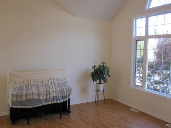 306 Cambridge Drive, Dexter, MI 48130 photo 5