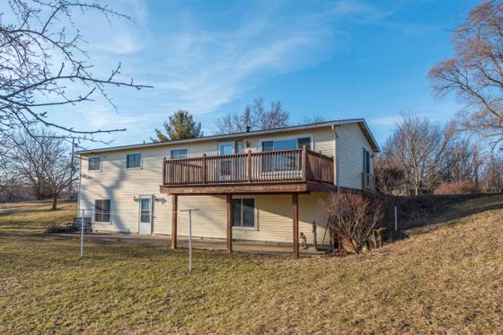 19820 Ivey Road, Chelsea, MI 48118 photo 2