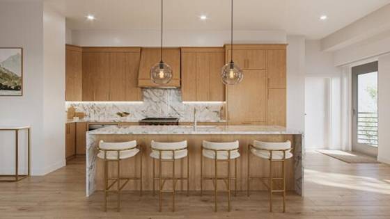 303 Detroit Street #202, Ann Arbor, MI 48104 photo 4