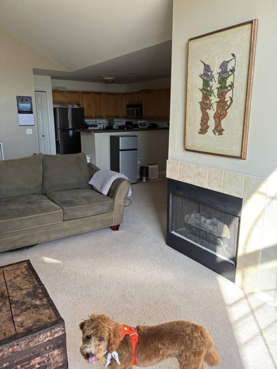 3138 Primrose Lane, Ypsilanti, MI 48197 photo 4