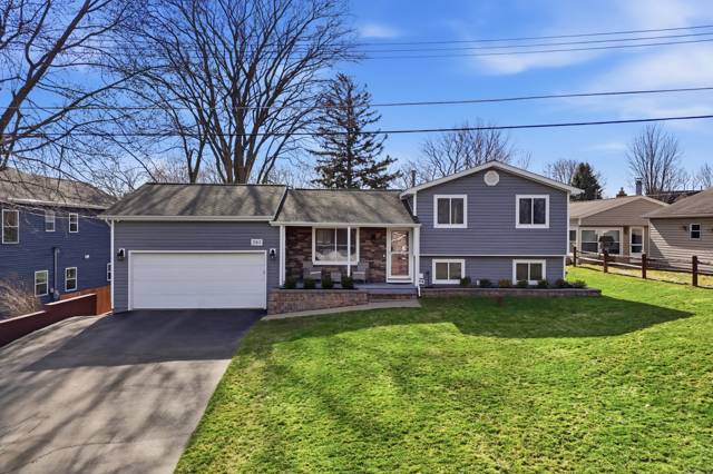 283 Shamrock Street, Novi, MI