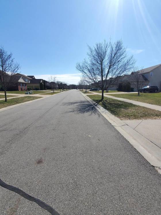 6388 Sadie Lane, Van Buren Twp, MI 48111 photo 2