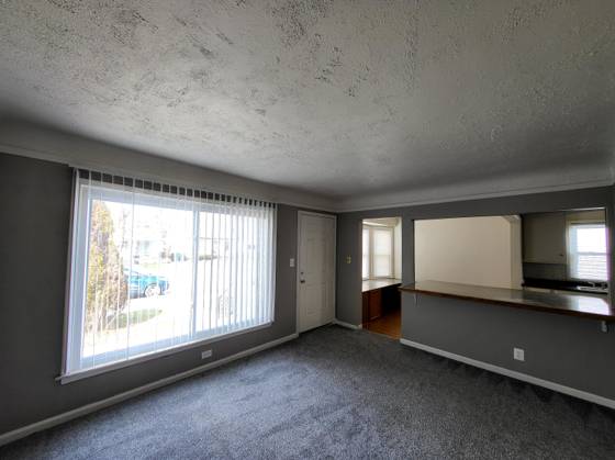 4177 Hubbard Avenue, Lincoln Park, MI 48146 photo 5