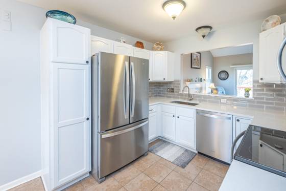 9002 Pine Cove Drive, Whitmore Lake, MI 48189 photo 4
