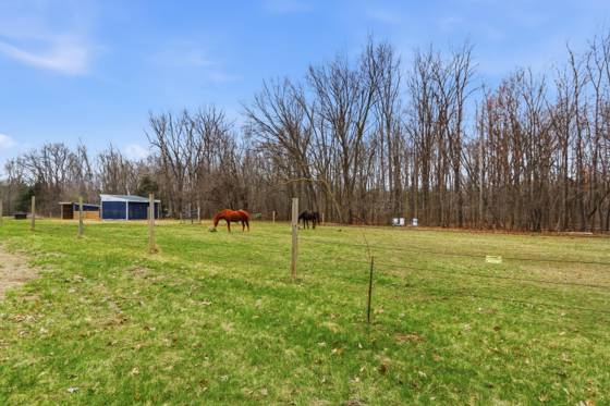 58765 Travis Road, New Hudson, MI 48165 photo 4