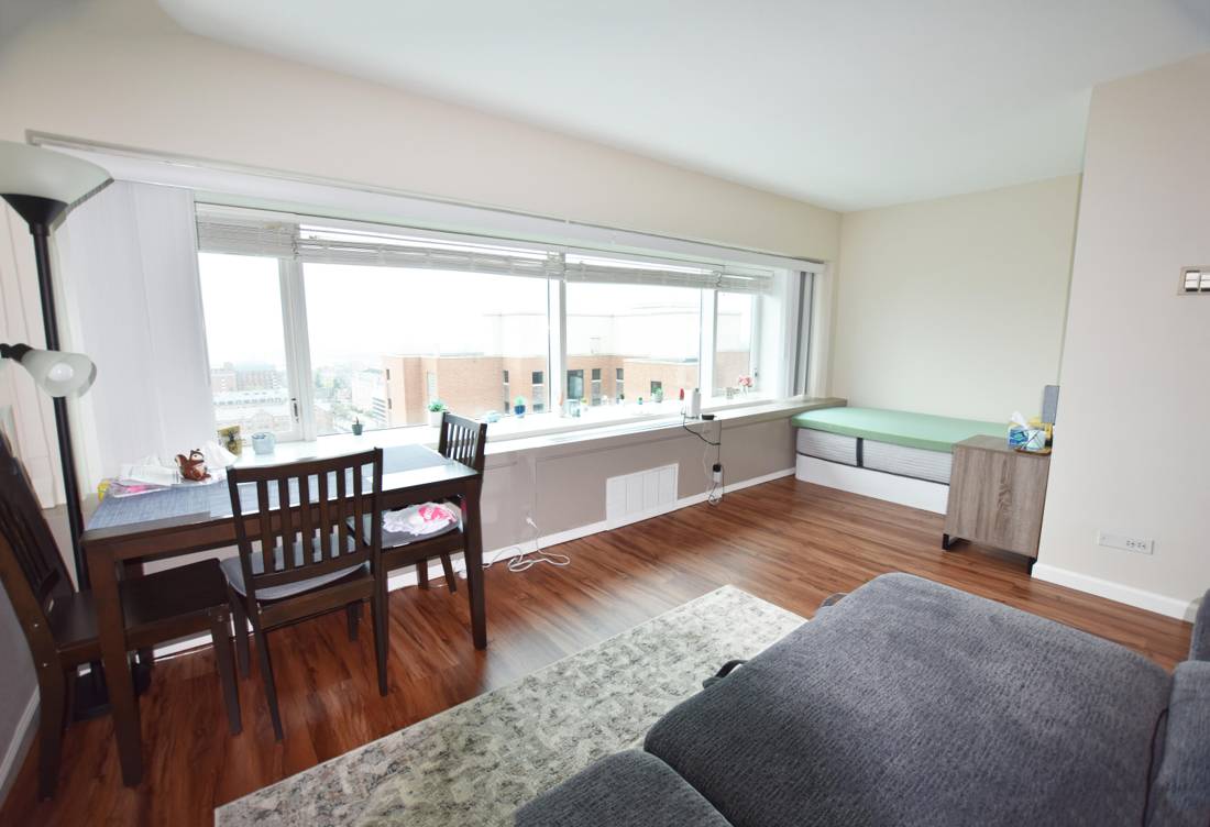 555 E William Street #17B, Ann Arbor, MI 48104