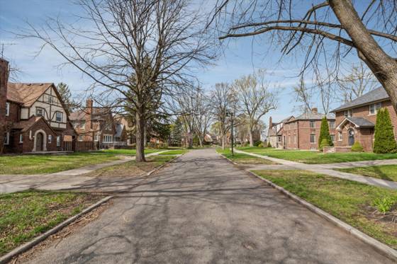 14541 Woodmont Avenue, Detroit, MI 48227 photo 3