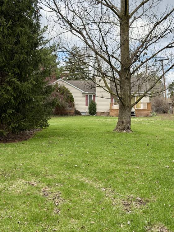 27420 Milton Avenue, Warren, MI 48092 photo 5