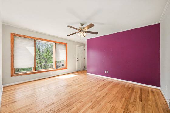 31618 Haldane Street, Livonia, MI 48152 photo 5