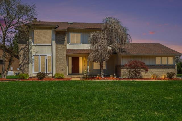 5116 Cardinal Drive, Troy, MI