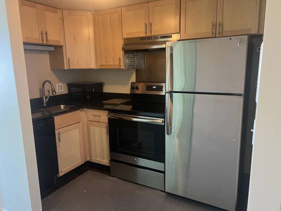 555 E William Street #22G, Ann Arbor, MI 48104 photo 3