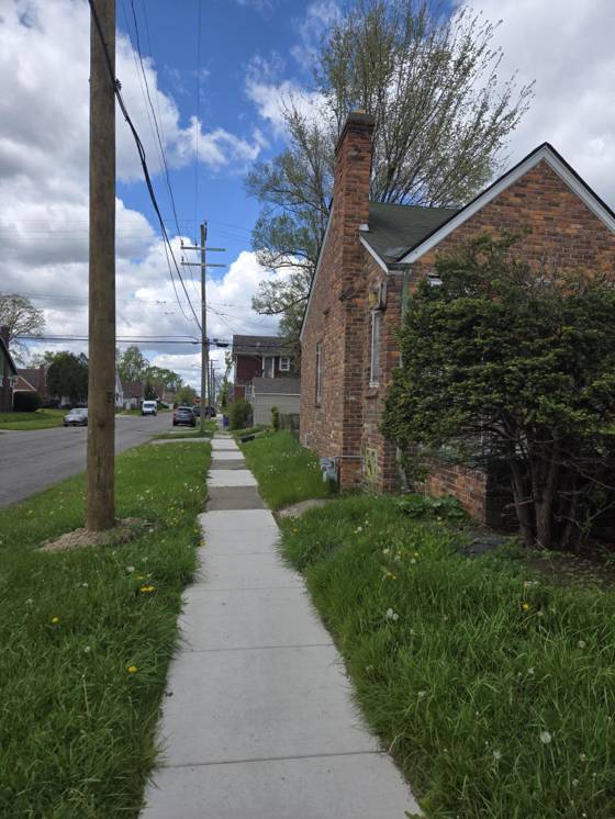 15001 Freeland Street, Detroit, MI 48227 photo 3