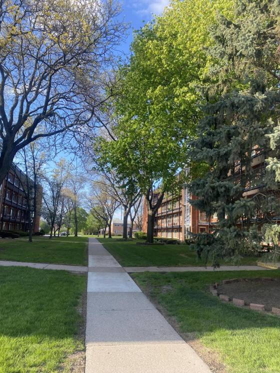 2915 W 13 Mile Road #209, Royal Oak, MI 48073 photo 3