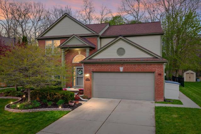 7641 Turrillium Lane, Waterford, MI