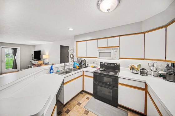 1305 Millbrook Trail, Ann Arbor, MI 48108 photo 5