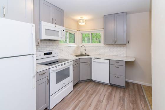 413 S Revena Boulevard, Ann Arbor, MI 48103 photo 3