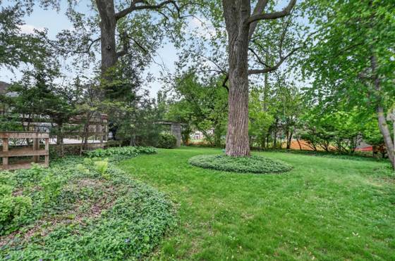 15128 Lexington, Redford, MI 48239 photo 5