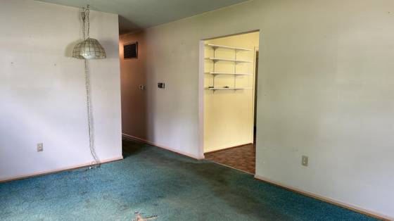 140 S Mansfield Street, Ypsilanti, MI 48197 photo 5