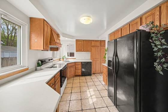 1241 Shirley Drive, Ypsilanti, MI 48198 photo 5