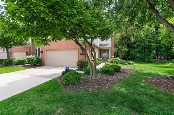 39639 Dun Rovin Drive, Northville, MI 48168 photo 3