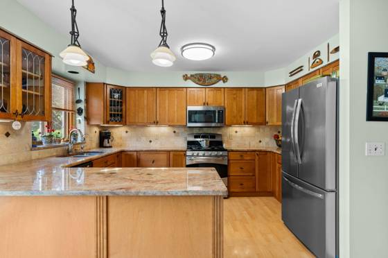 4216 Corey Circle, Ann Arbor, MI 48103 photo 5