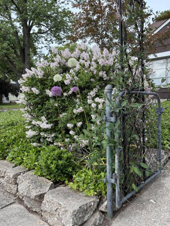 1136 Lester Avenue, Ypsilanti, MI 48198 photo 2