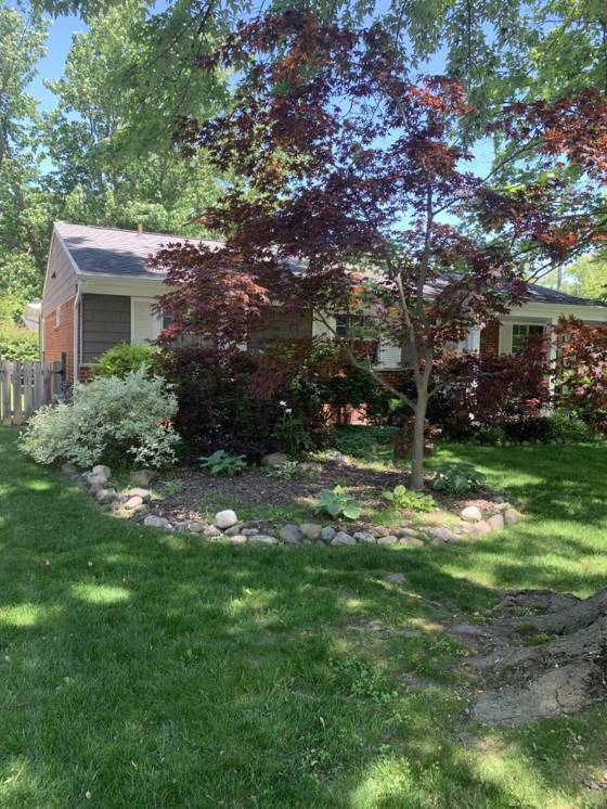42032 Mcbride Avenue, Belleville, MI 48111 photo 5