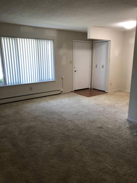 25136 Potomac Drive, South Lyon, MI 48178 photo 5