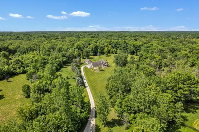 2665 White Tail Court, South Lyon, MI